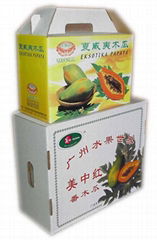 Vegetable packaging box