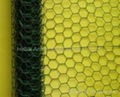 hexagonal wire netting 1