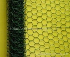 hexagonal wire netting