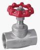 ANSI globe valve B type