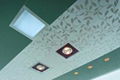 Compositive Ceiling