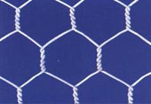 Hexagonal wire mesh 