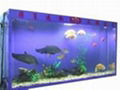 Acrylic fish tank