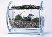 Acrylic fish tank 2