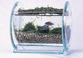 Acrylic fish tank 2