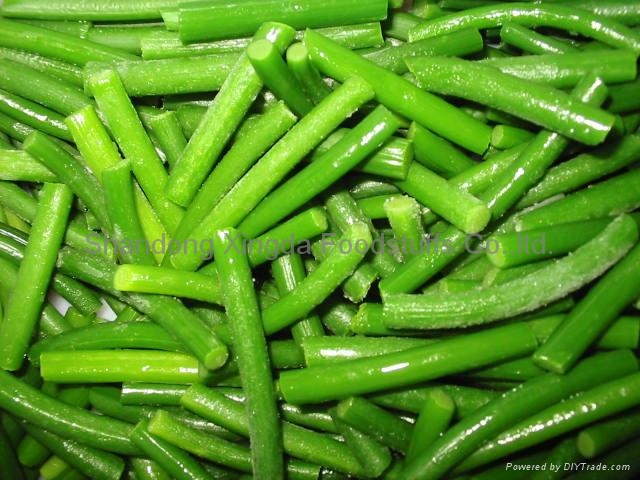 frozen garlic sprout