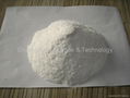 Soda Ash light