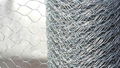 Hexagonal wire mesh 3