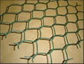 Hexagonal wire mesh 5