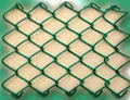 Chain link fence 1