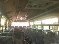 31 seater city bus LS6729 4
