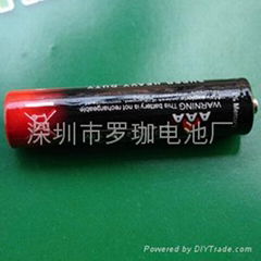 AA 5 dry batteries