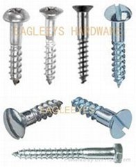 Steel and Stainless steel wood screws