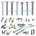 Steel and Stainless steel self-tapping screws 1