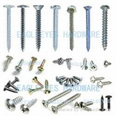 Steel and Stainless steel self-tapping screws
