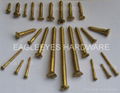 Brass wood screws