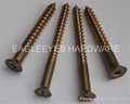 Silicon bronze wood screws  1