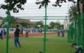 wire mesh fences