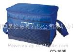 cooler bag 4