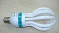 Spiral Energy Saving Lamp 2