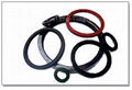 oil seal