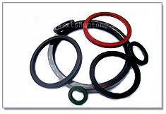 oil seal