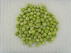 Freeze dried green pea