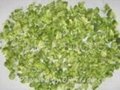 Freeze dried broccoli