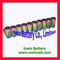 4LR44 6V alkaline battery 1