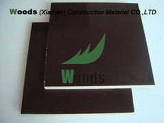 Special Size Film Faced Plywood