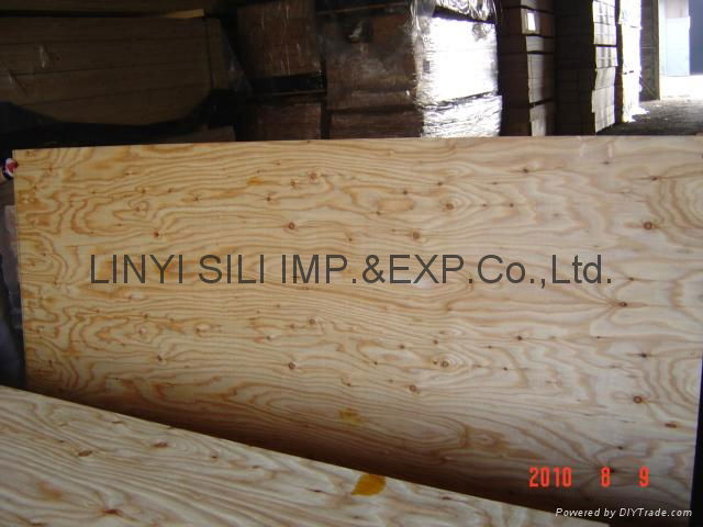 larch plywood