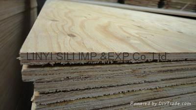 marin plywood 3