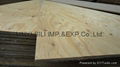 marin plywood 5