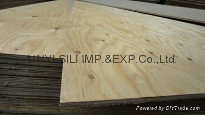 JAS plywood 5