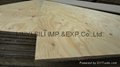 larch plywood 2