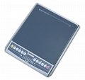 induction cooker 2