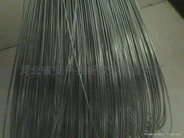 galvanized iron wire 3