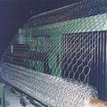 hexagonal wire netting 1