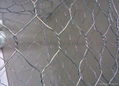 hexagonal wire netting 2