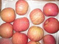 Yantai Fresh Red Fuji Apple 4