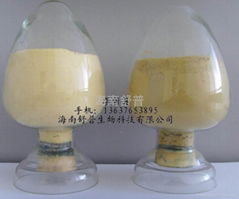 Rosemary Extract (Carnosic Acid NLT 60%), Powder