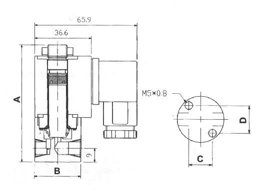 0-10 BAR(150 PSI) ISO COIL 2