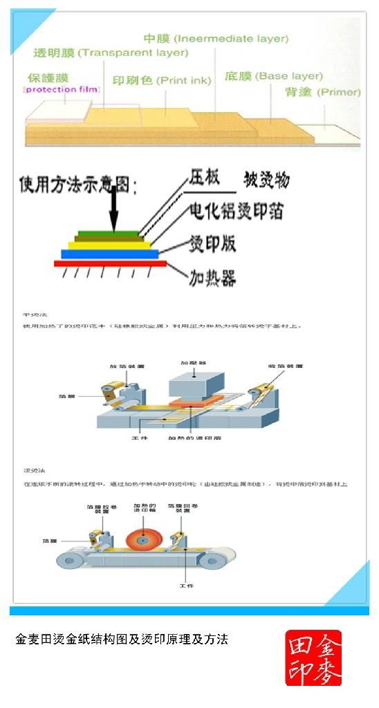 KGF606－3金色烫金纸 5