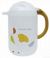 Electric Kettle 2