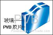 pvb interlayer