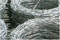 wire mesh fencing 