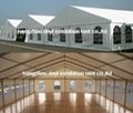 clear span 8m Al tent 1