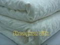 Silk Quilt and Quilt Cover