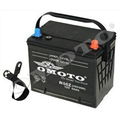 Auto Battery 1