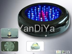 LED Grow Lights 4